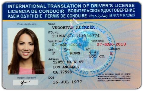 international driver's license usa